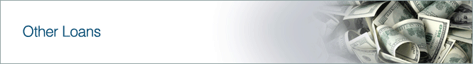Other Loans